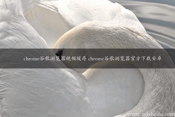 chrome谷歌浏览器视频缓存 chrome谷歌浏览器官方下载安卓