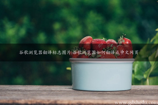 谷歌浏览器翻译标志图片 谷歌浏览器如何翻译成中文网页