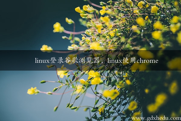 linux登录谷歌浏览器，linux使用chrome