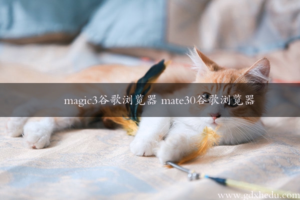 magic3谷歌浏览器 mate30谷歌浏览器
