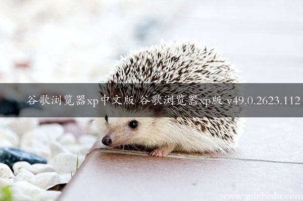 谷歌浏览器xp中文版 谷歌浏览器xp版 v49.0.2623.112