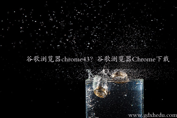 谷歌浏览器chrome43？谷歌浏览器Chrome下载
