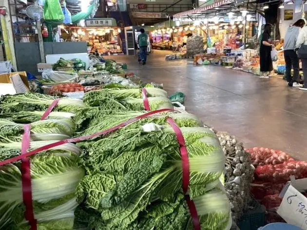 冬季必备：白菜炖豆腐与醋溜白菜，暖胃暖心又营养  第1张