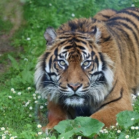 野生刺猬是保护动物吗 中国七大影视基地：无锡、横店、车墩、涿州、同里、镇北堡、焦作  第1张
