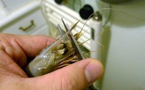家常大红虾的多种做法，教你轻松做出美味大虾  第1张