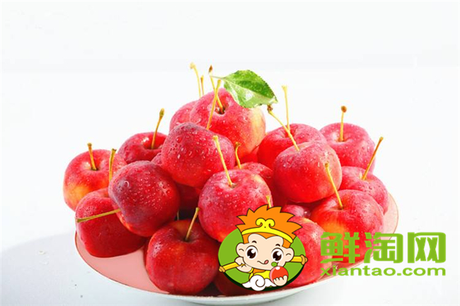 沙果与海棠果的区别：科属、生长环境及形态特征的详细解析  第1张