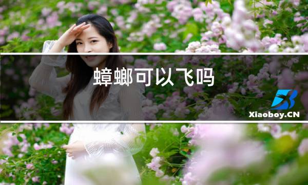 蟑螂为什么会飞？揭秘蟑螂飞行能力及其对生活的影响  第1张