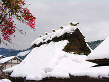 雪花的别名多出自古代诗人名句及其形状等相关知识  第6张