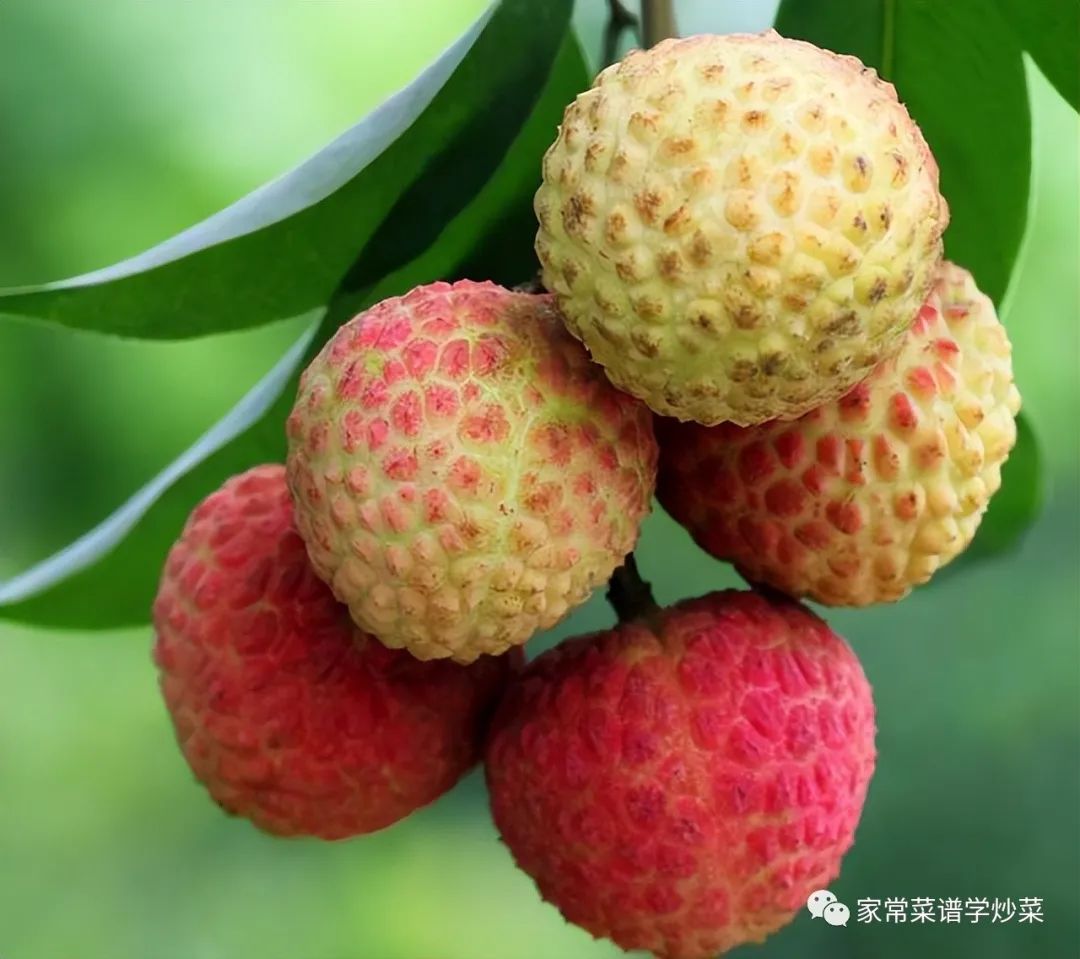 古时荔枝保鲜劳民伤财，如今北方人可便宜吃到新鲜荔枝  第1张