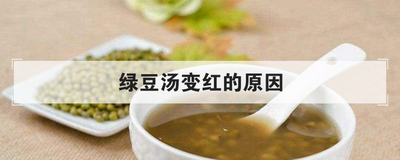 绿豆汤熬成红色的原因：豆皮酚类氧化、水质、锅盖和陈年绿豆等  第1张
