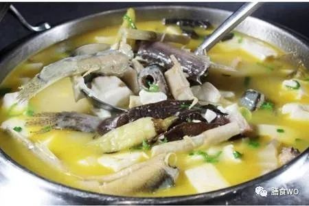 生活小百科：泥鳅好吃营养高，六种做法一学就会  第1张