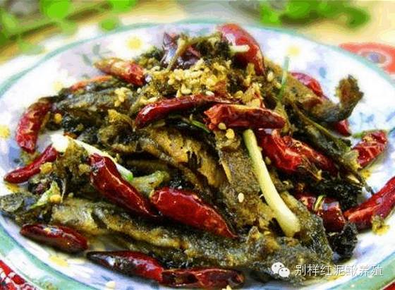 老家泥鳅只会油炸？快学紫苏干煸等新吃法  第1张