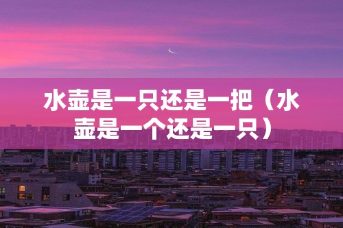 水壶的量词是‘一只’‘一把’还是‘一个’？相关知识全解析  第1张