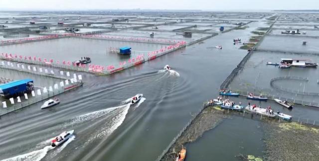 2022阳澄湖大闸蟹在苏州开捕 首网空运抵京 北京专营店卸货忙  第1张