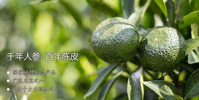 新会小青柑与普洱熟茶的完美结合：功效、作用及陈皮之乡的独特魅力  第1张