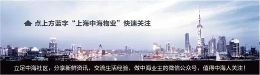了解有机蔬菜的健康含义：追求健康饮食的现代人必读  第1张