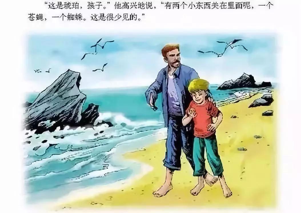 探索琥珀与蜜蜡的形成过程：从自然现象到人工加工的奥秘  第1张