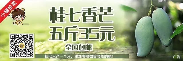 南宁烧鸭：清热去火的南方美味，与北京烤鸭的渊源与差异  第1张