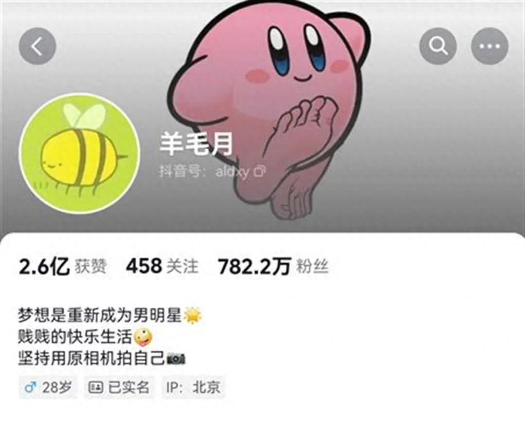 羊毛月吐槽年轻人找工作难引争议，三天掉粉近百万  第1张