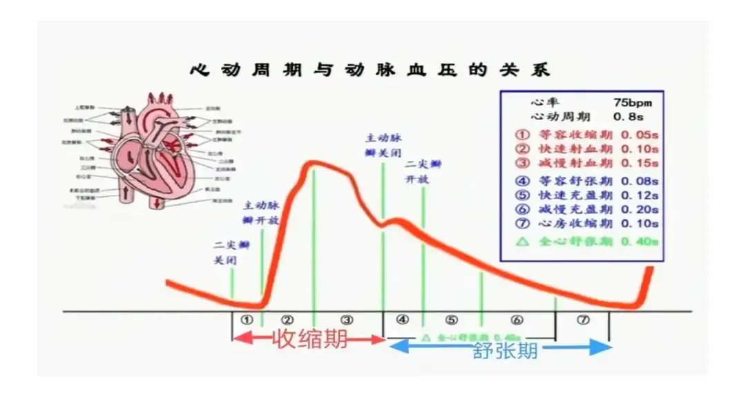 有创动脉压监测：实时准确监测血压波动，助力临床诊断与治疗  第1张