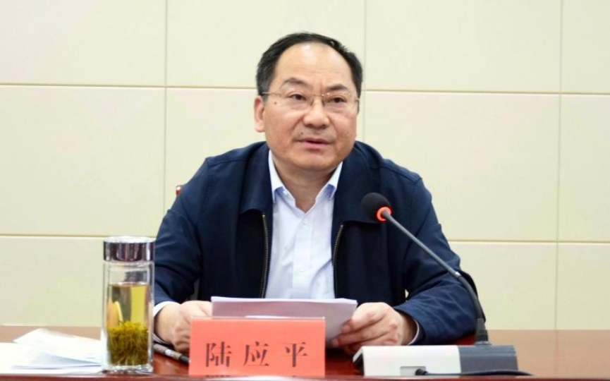 安徽省纪委监委查处安庆市原副市长陆应平严重违纪违法案件  第1张