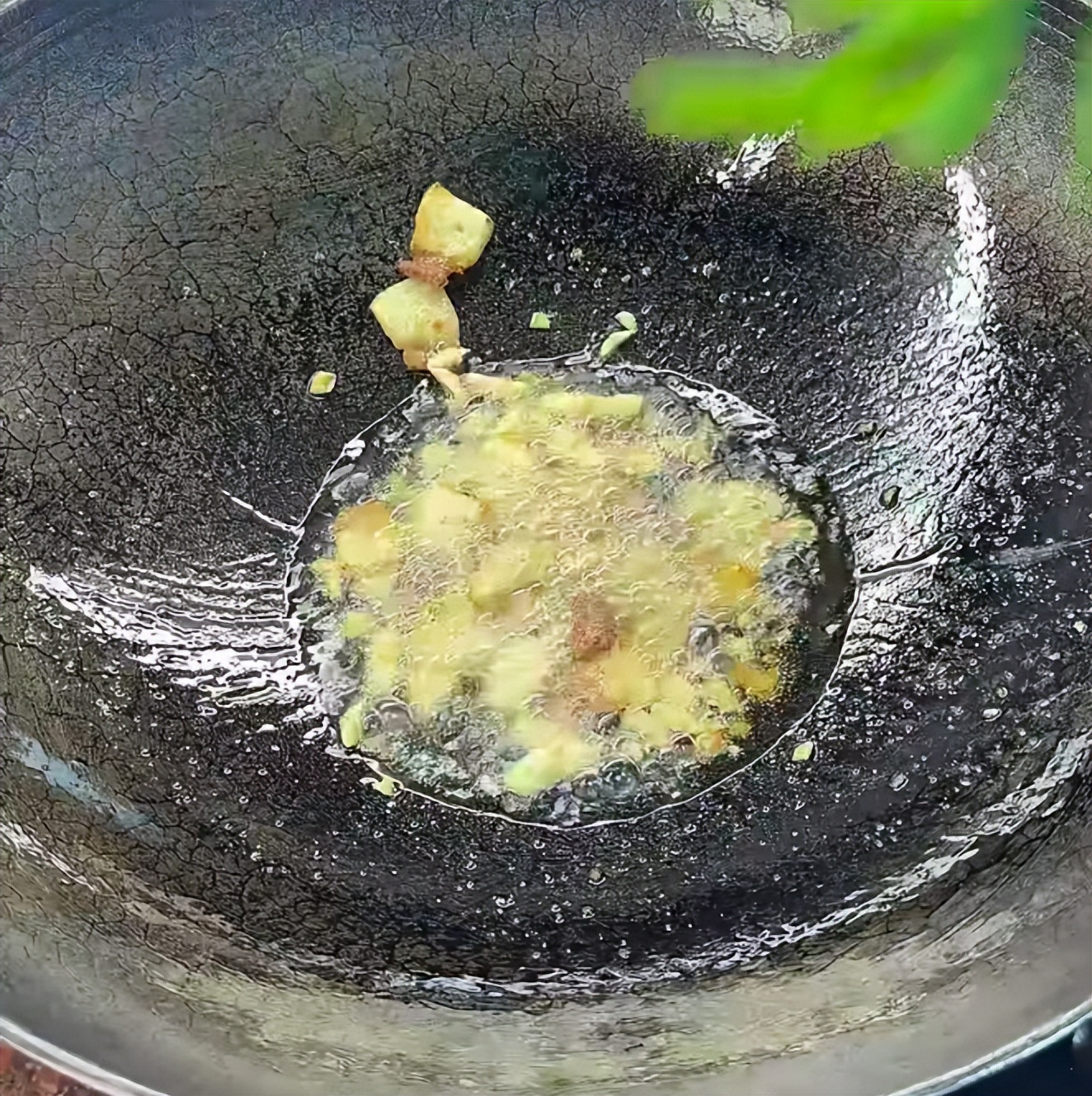 冬季南方绿叶蔬菜推荐：树仔菜的清香脆嫩与健康益处  第7张