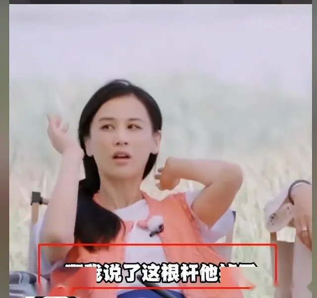 再见爱人第四季画风突变，真实情感缺失引争议  第10张