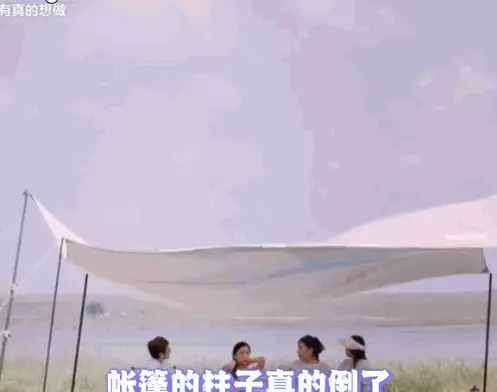 再见爱人第四季画风突变，真实情感缺失引争议  第11张