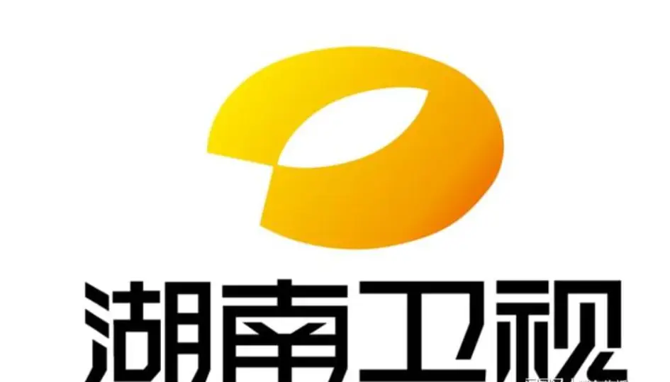 探讨当前综艺节目面临的挑战与创新乏力问题  第1张