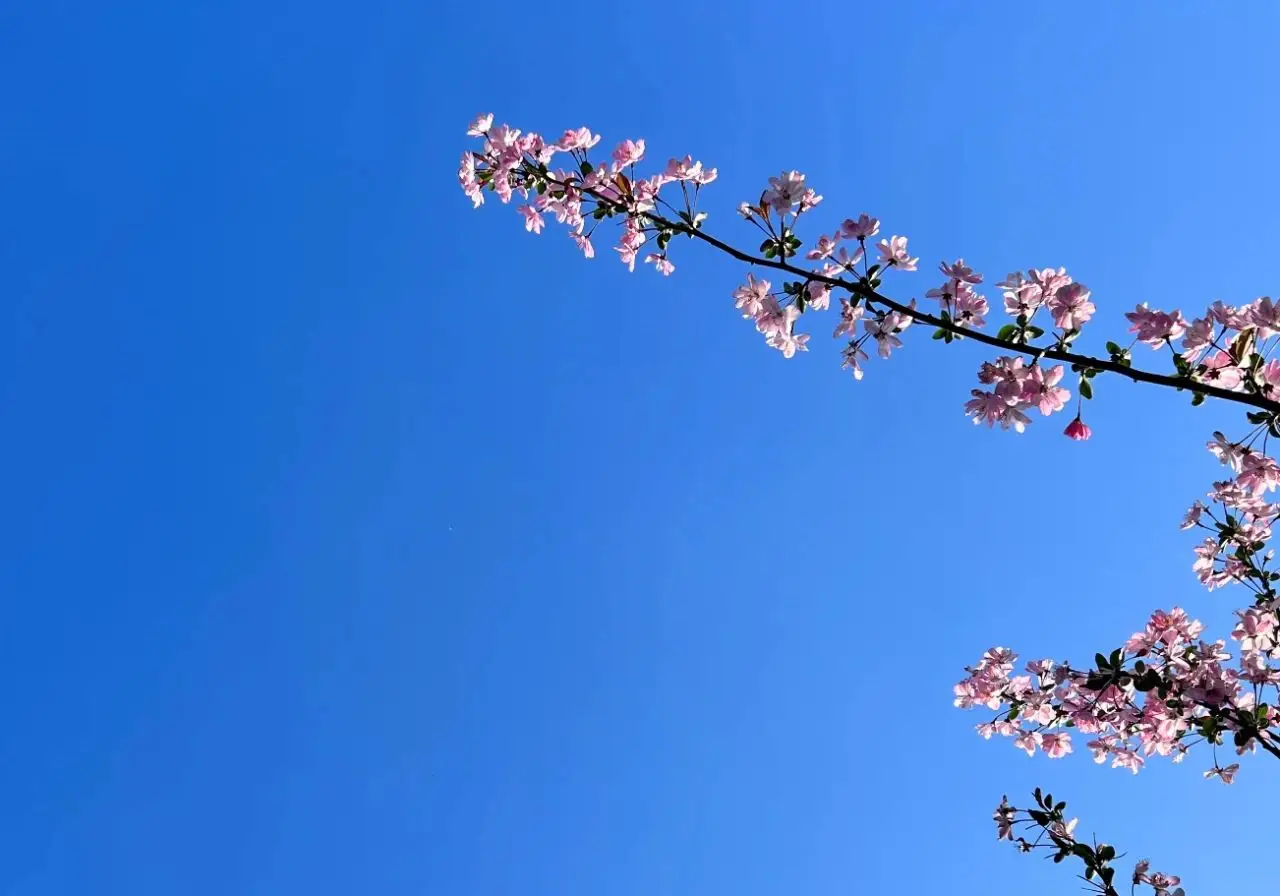中年女性如何活出自我：学会独处，摆脱婚姻焦虑  第1张