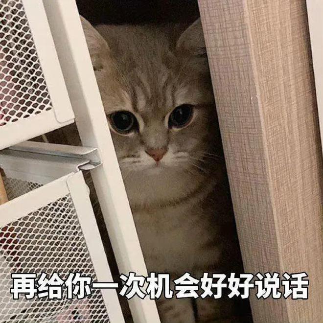 E句话看天下：再见爱人4李行亮麦麦恋情曝光，炎亚纶回应恋情猜测，小S谈开放性关系  第3张