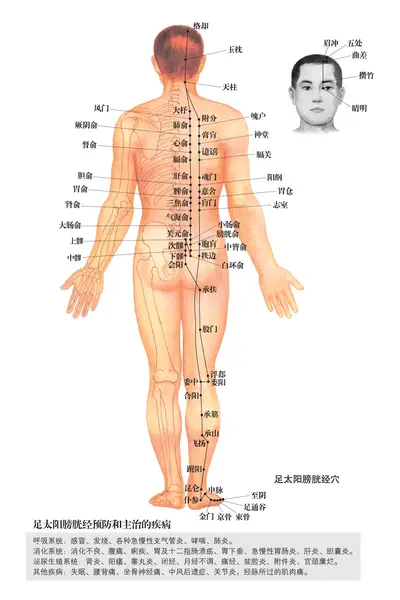 中医穴位按摩法：缓解头痛的有效方法及常用穴位介绍  第2张