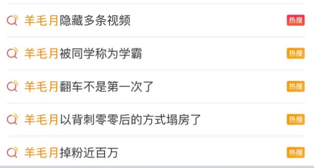 网红羊毛月嘲讽00后找工作引争议，道歉视频掉粉百万  第1张