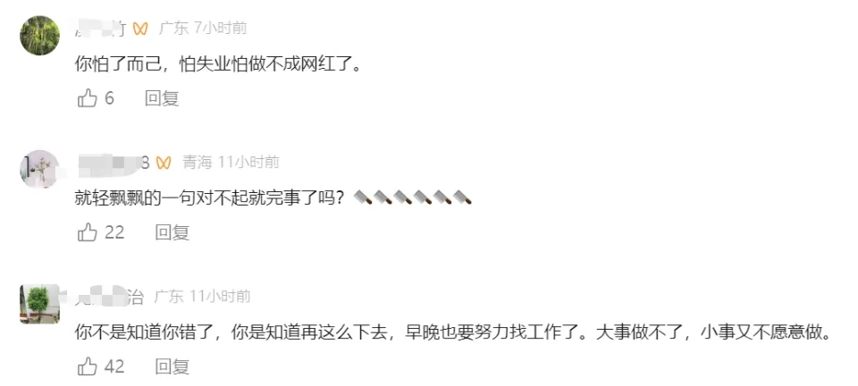 网红羊毛月嘲讽00后找工作引争议，道歉视频掉粉百万  第6张