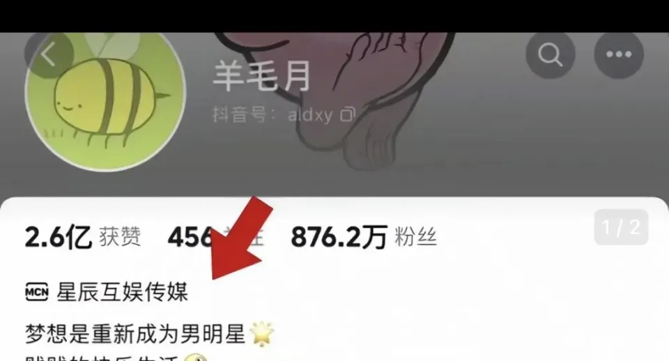 网红羊毛月嘲讽00后找工作引争议，道歉视频掉粉百万  第7张