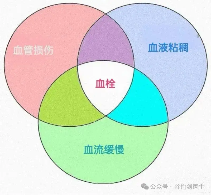 长时间驾驶与静脉健康：出租车及网约车司机需警惕静脉曲张风险  第4张