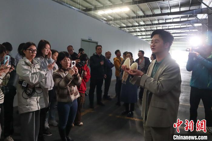 湖南桃江县竹笋产业高质量发展：38亿元年产值的特色笋竹产业园  第3张
