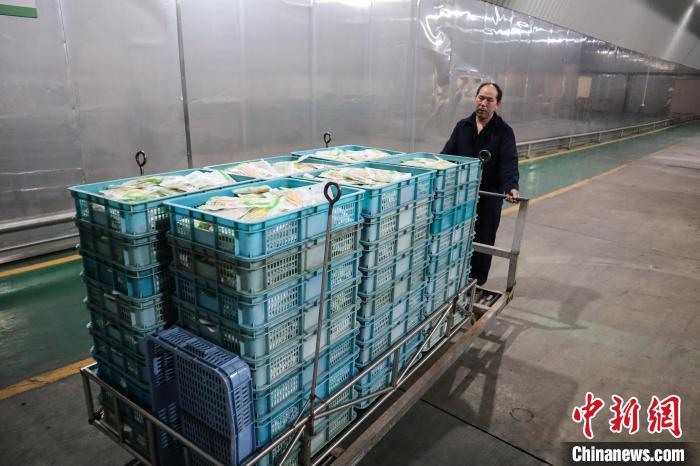 湖南桃江县竹笋产业高质量发展：38亿元年产值的特色笋竹产业园  第6张