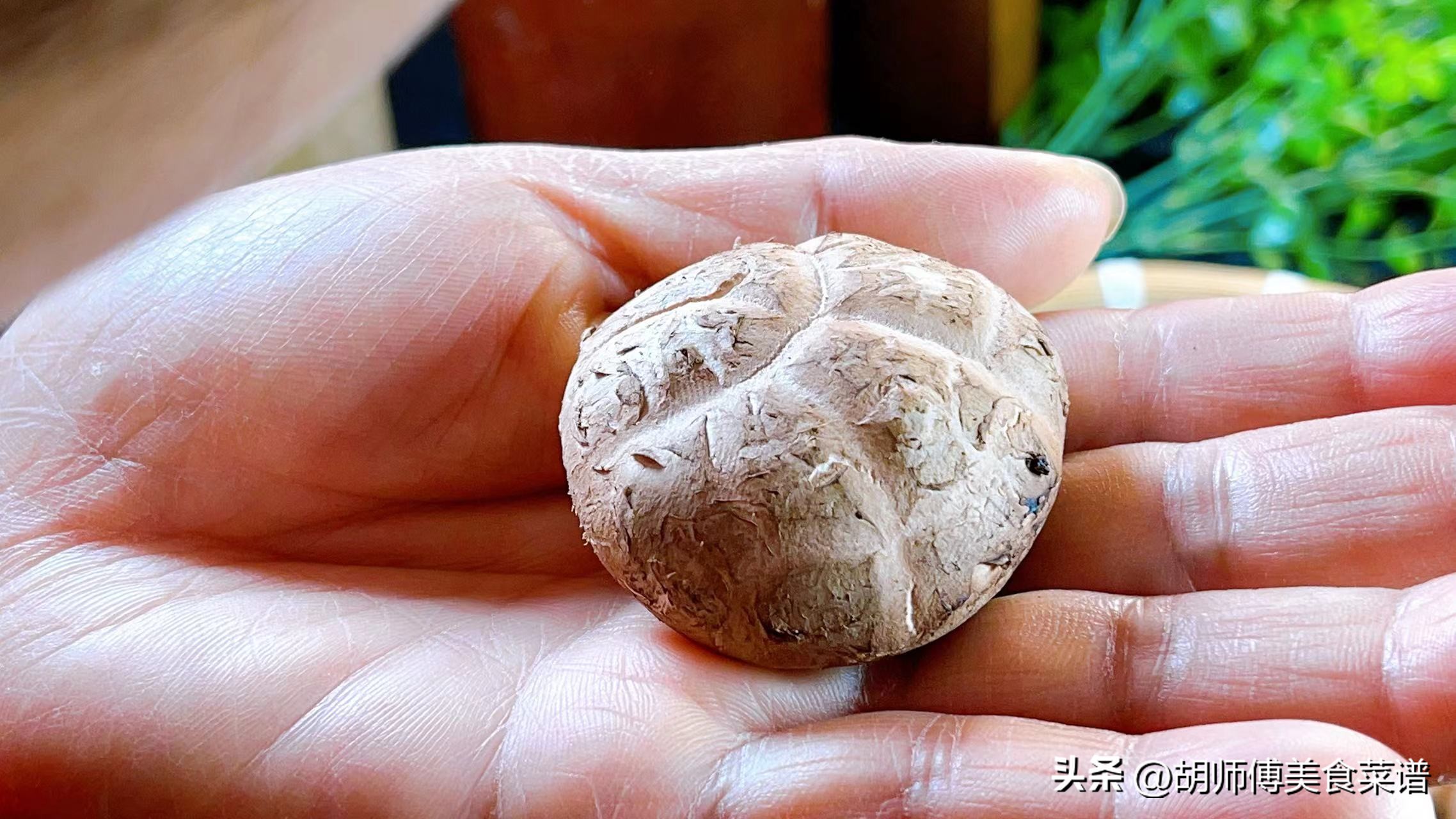 香菇选购技巧：如何挑选鲜嫩弹滑的香菇，享受山珍美味  第5张