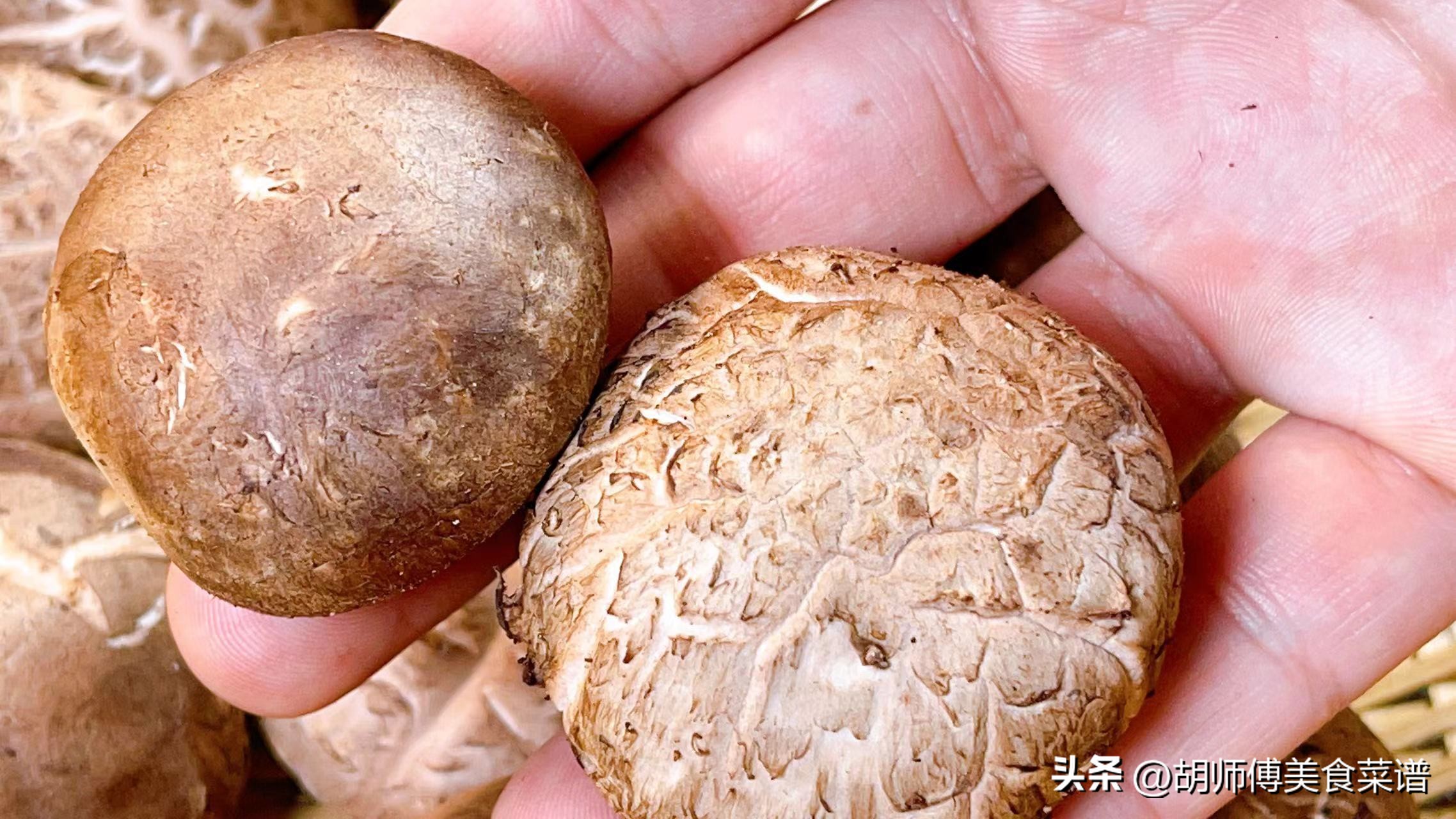 香菇选购技巧：如何挑选鲜嫩弹滑的香菇，享受山珍美味  第6张