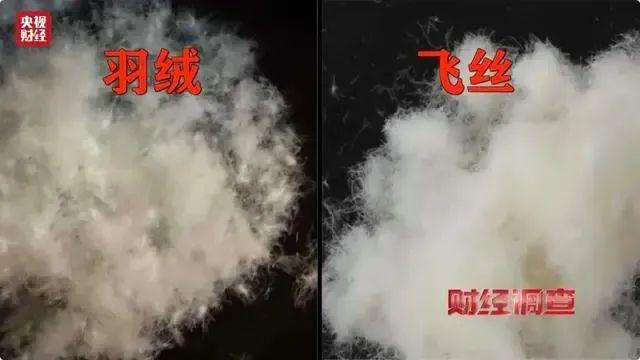 寒潮来袭羽绒服出事！央视曝光羽绒制品造假乱象，消费者需警惕  第2张