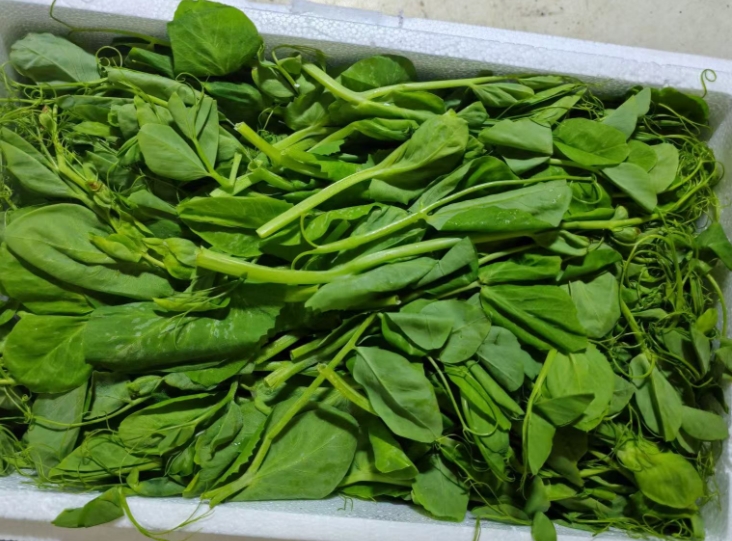 蒜蓉炒豌豆尖与豌豆尖鸡蛋汤的详细制作步骤  第1张