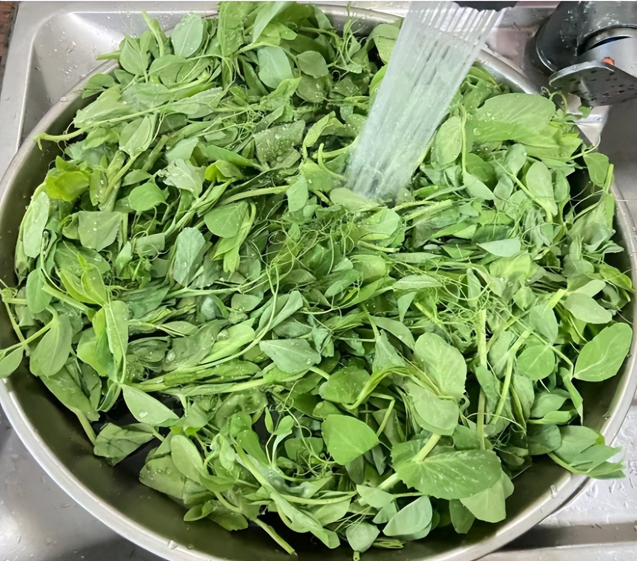 蒜蓉炒豌豆尖与豌豆尖鸡蛋汤的详细制作步骤  第2张