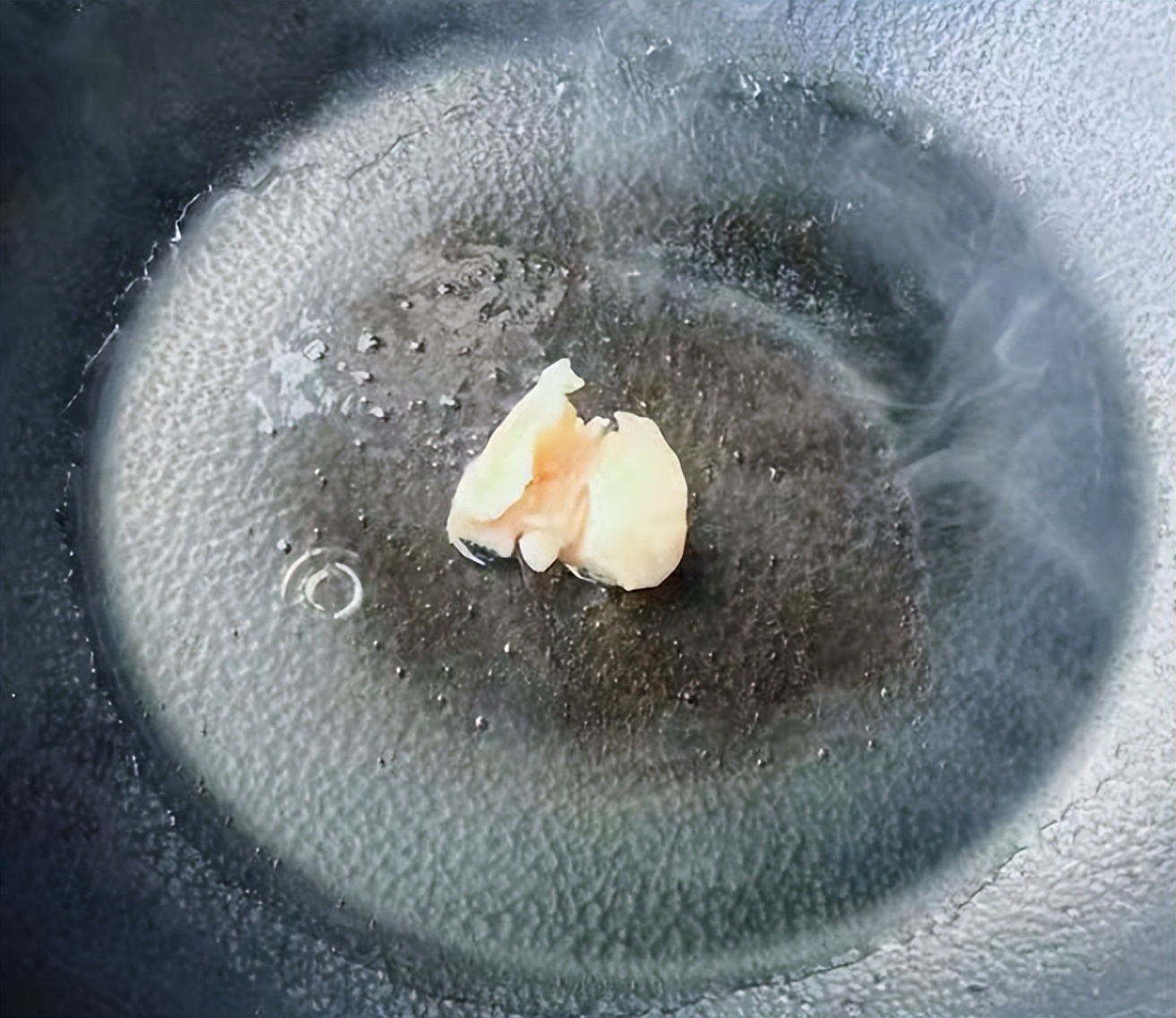 蒜蓉炒豌豆尖与豌豆尖鸡蛋汤的详细制作步骤  第4张