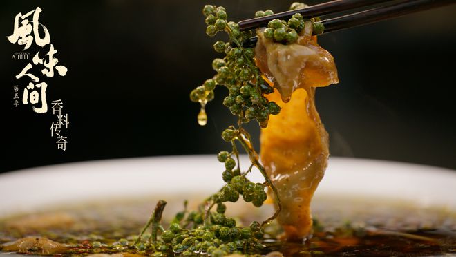 风味人间5·香料传奇腾讯视频全网独播，探秘全球香料原产地  第1张