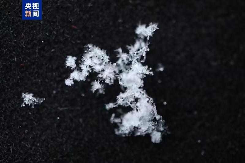山东烟台迎来今冬首场冷流雪，中国东部冷流雪观测试验团队迅速采样分析  第2张