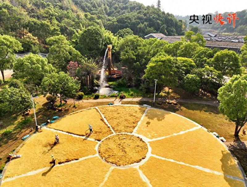 供销合作社70年服务城乡群众，助力乡村振兴与脱贫攻坚  第1张