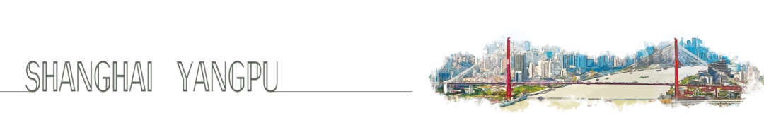 2024年杨浦区质量强区工作会议暨政府质量奖表彰大会成功举行  第2张