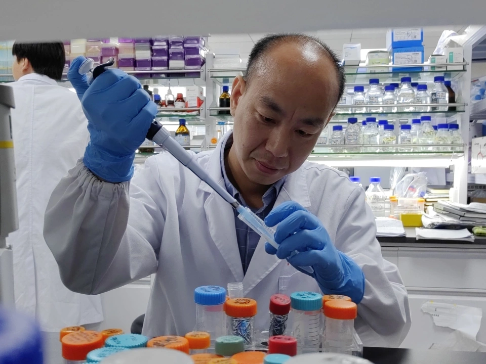 胡长峰教授微藻研究成果显著，新型靶向药物研发前景广阔  第2张