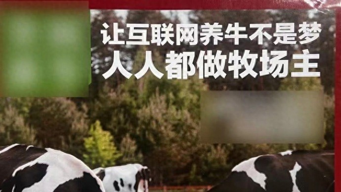揭秘网络云养牛骗局：300万元投资变6万斤无法兑现牛肉  第1张